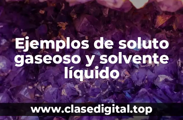 Ejemplos de soluto gaseoso y solvente líquido
