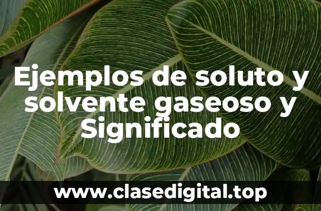 Ejemplos de soluto y solvente gaseoso y Significado