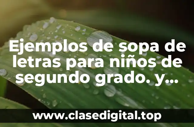 Ejemplos de sopa de letras para niños de segundo grado. y Significado