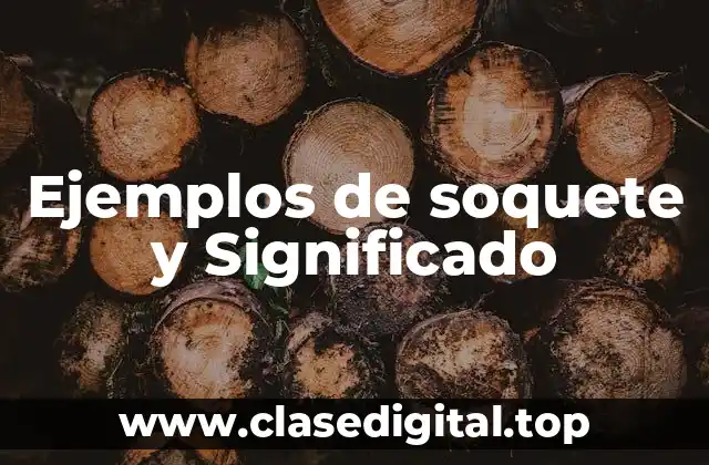 Ejemplos de soquete y Significado