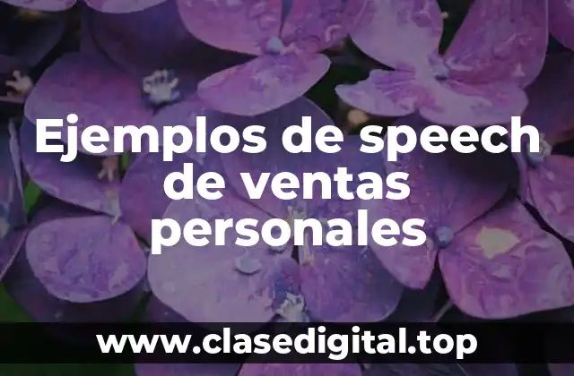 Ejemplos de speech de ventas personales