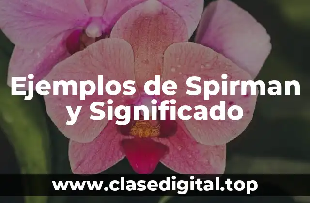 Ejemplos de Spirman y Significado