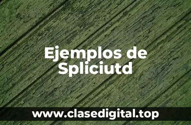 Ejemplos de Spliciutd