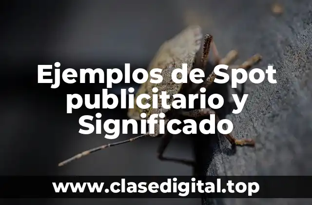 Ejemplos de Spot publicitario y Significado