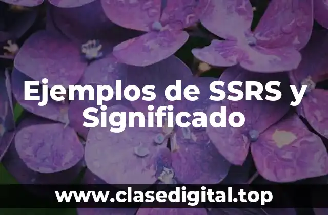 Ejemplos de SSRS y Significado