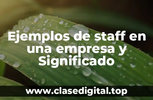 Ejemplos de staff en una empresa y Significado