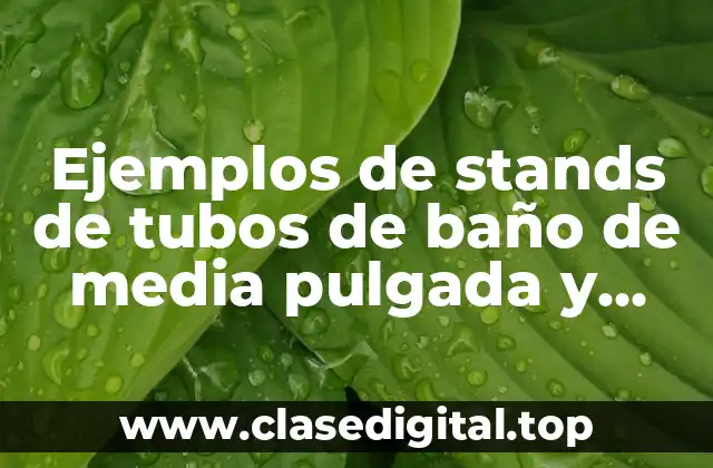 Ejemplos de stands de tubos de baño de media pulgada y Significado