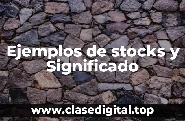 Ejemplos de stocks y Significado