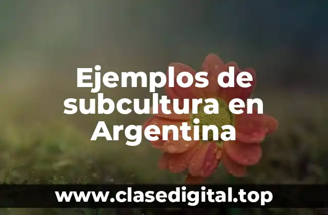 Ejemplos de subcultura en Argentina