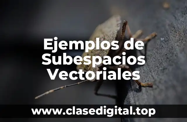 Ejemplos de Subespacios Vectoriales