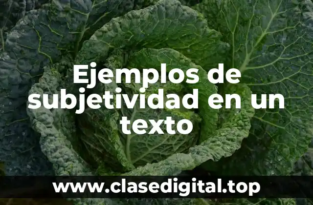 Ejemplos de subjetividad en un texto