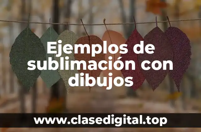 Ejemplos de sublimación con dibujos