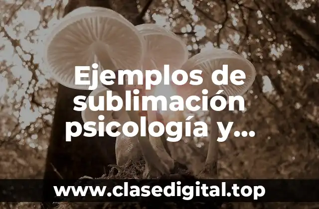 Ejemplos de sublimación psicología y Significado
