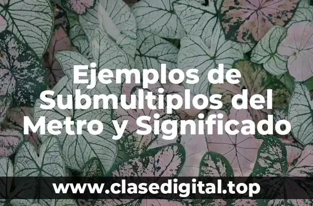 Ejemplos de Submultiplos del Metro y Significado