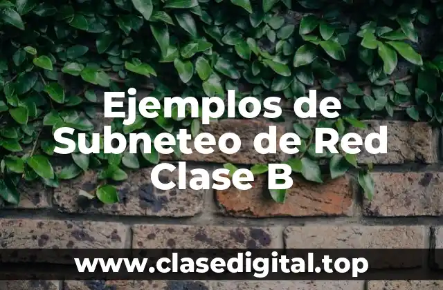 Ejemplos de Subneteo de Red Clase B