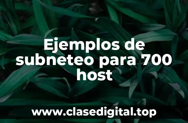 Ejemplos de subneteo para 700 host