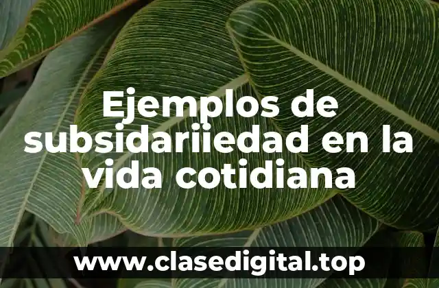 Ejemplos de subsidariiedad en la vida cotidiana