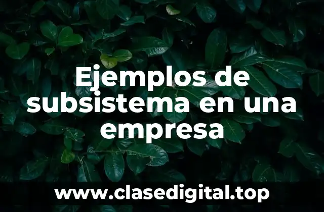 Ejemplos de subsistema en una empresa