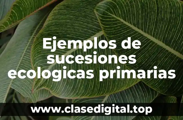 Ejemplos de sucesiones ecologicas primarias