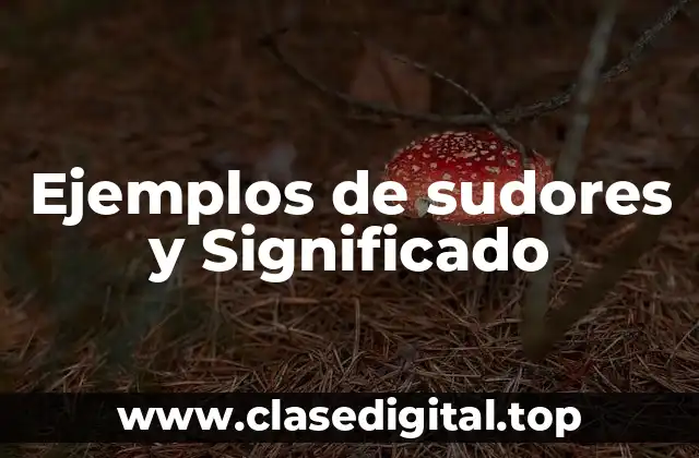 Ejemplos de sudores y Significado