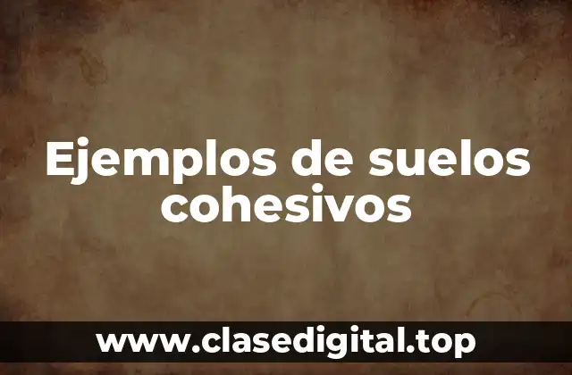 Ejemplos de suelos cohesivos