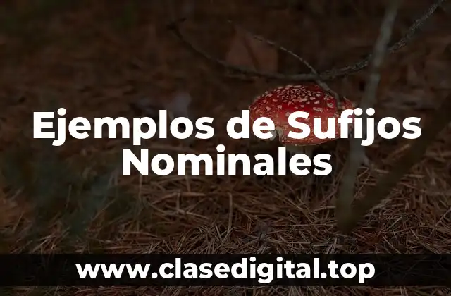 Ejemplos de Sufijos Nominales