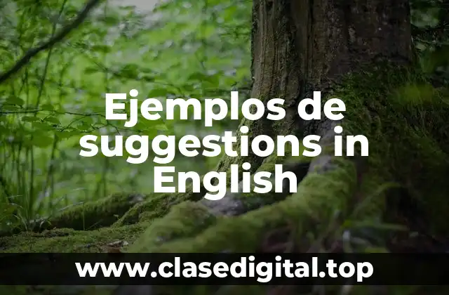 Ejemplos de suggestions in English