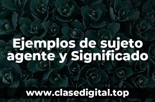 Ejemplos de sujeto agente y Significado