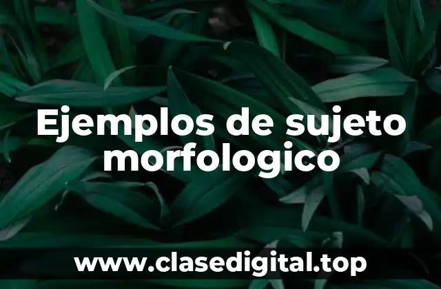 Ejemplos de sujeto morfologico