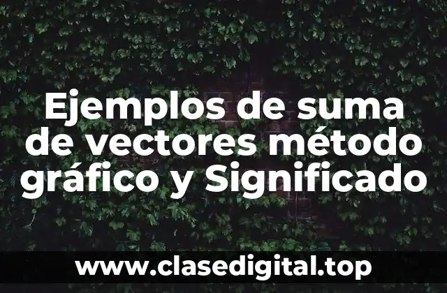 Ejemplos de suma de vectores método gráfico y Significado