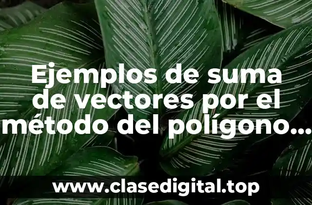 Ejemplos de suma de vectores por el método del polígono y Significado