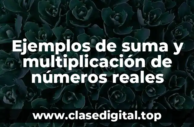 Ejemplos de suma y multiplicación de números reales