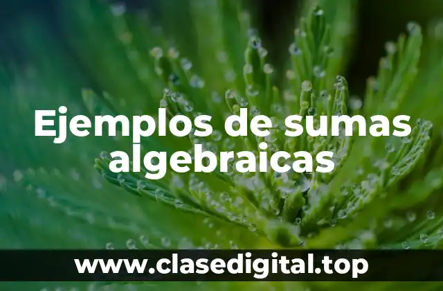 Ejemplos de sumas algebraicas