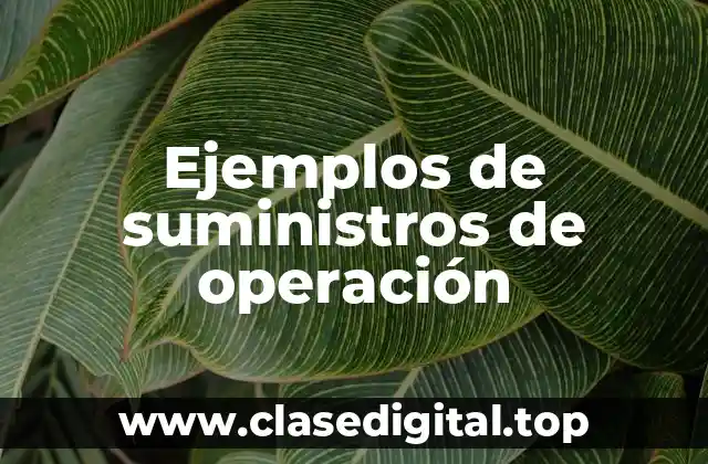 Ejemplos de suministros de operación
