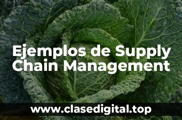 Ejemplos de Supply Chain Management