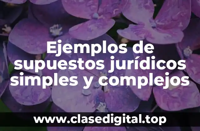 Ejemplos de supuestos jurídicos