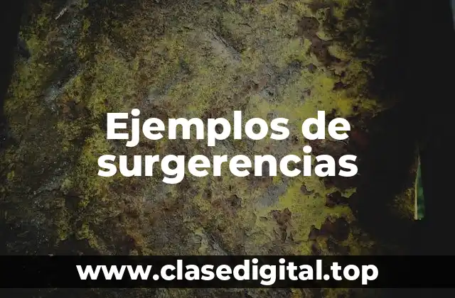Ejemplos de surgerencias