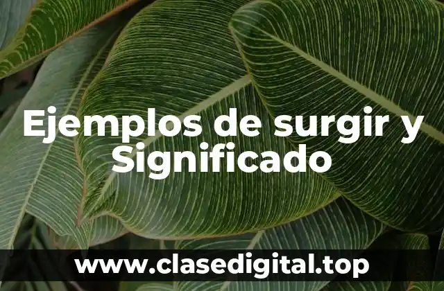Ejemplos de surgir y Significado