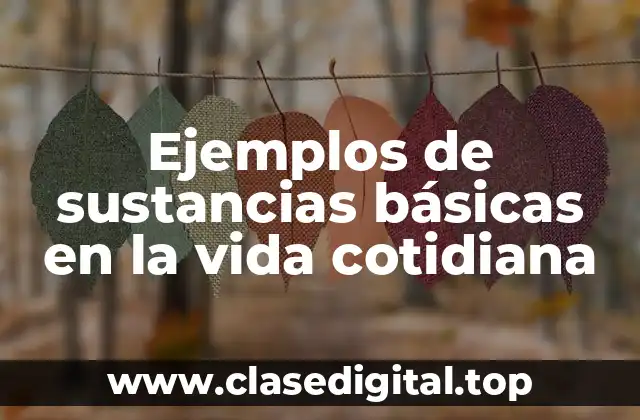 Ejemplos de sustancias básicas en la vida cotidiana