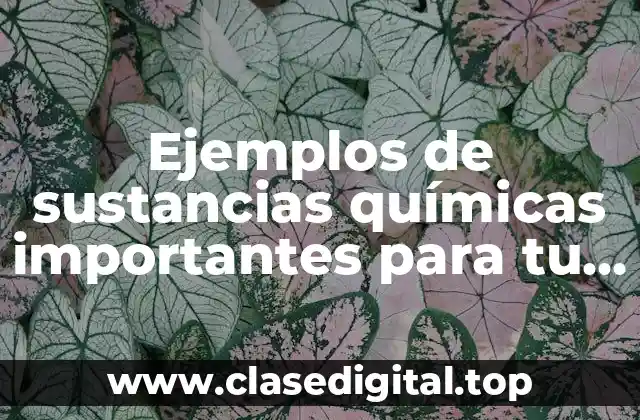 Ejemplos de sustancias químicas importantes para tu vida