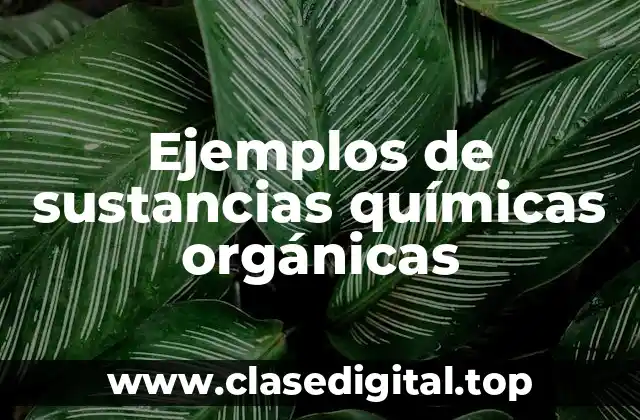 Ejemplos de sustancias químicas orgánicas