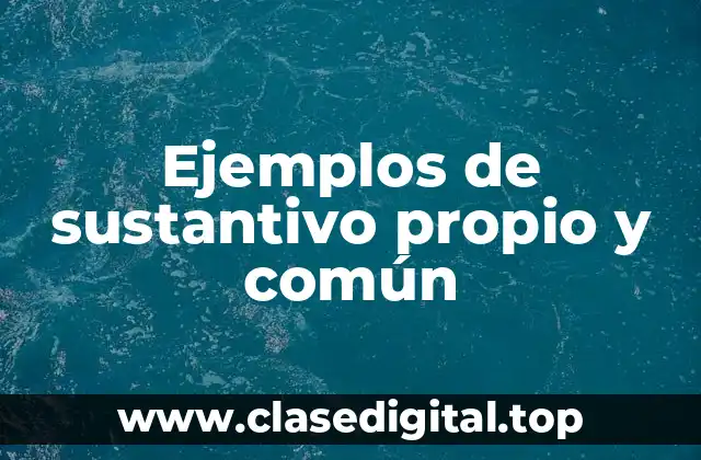 Ejemplos de sustantivo propio y común