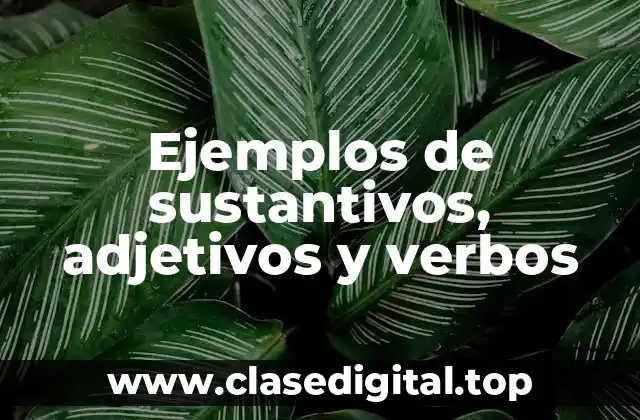 Ejemplos de sustantivos, adjetivos y verbos