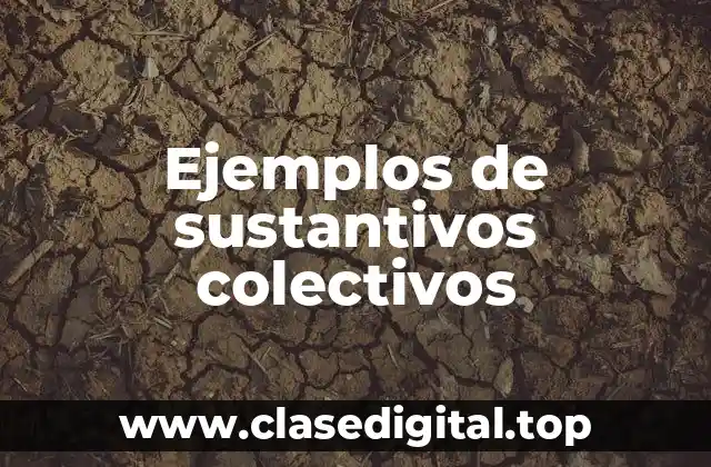 Ejemplos de sustantivos colectivos