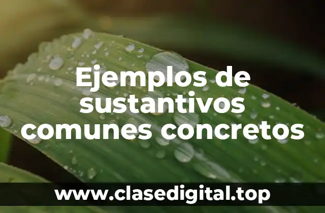 Ejemplos de sustantivos comunes concretos