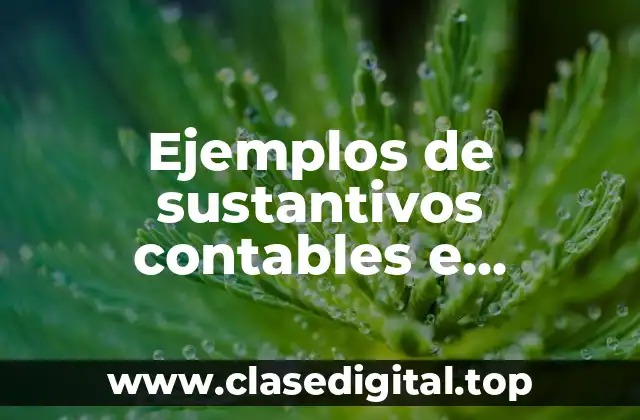 Ejemplos de sustantivos contables e incontables