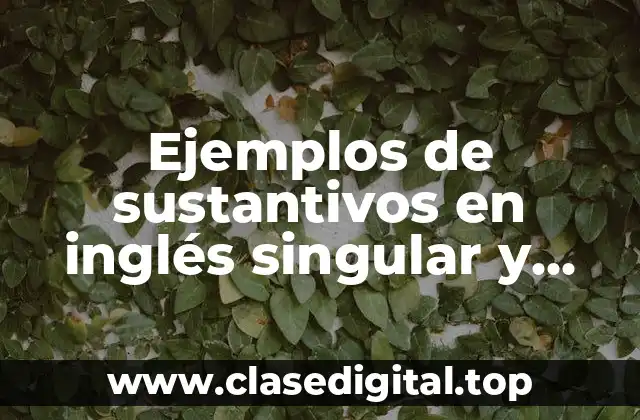 Ejemplos de sustantivos en inglés singular y plural