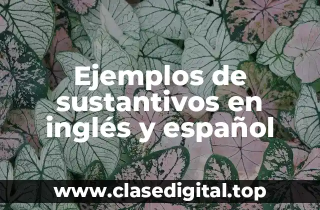 Ejemplos de sustantivos en inglés y español
