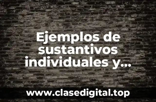 Ejemplos de sustantivos individuales y colectivos
