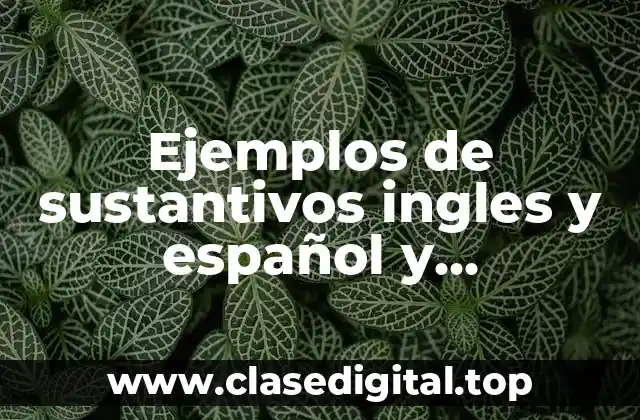 Ejemplos de sustantivos ingles y español y Significado